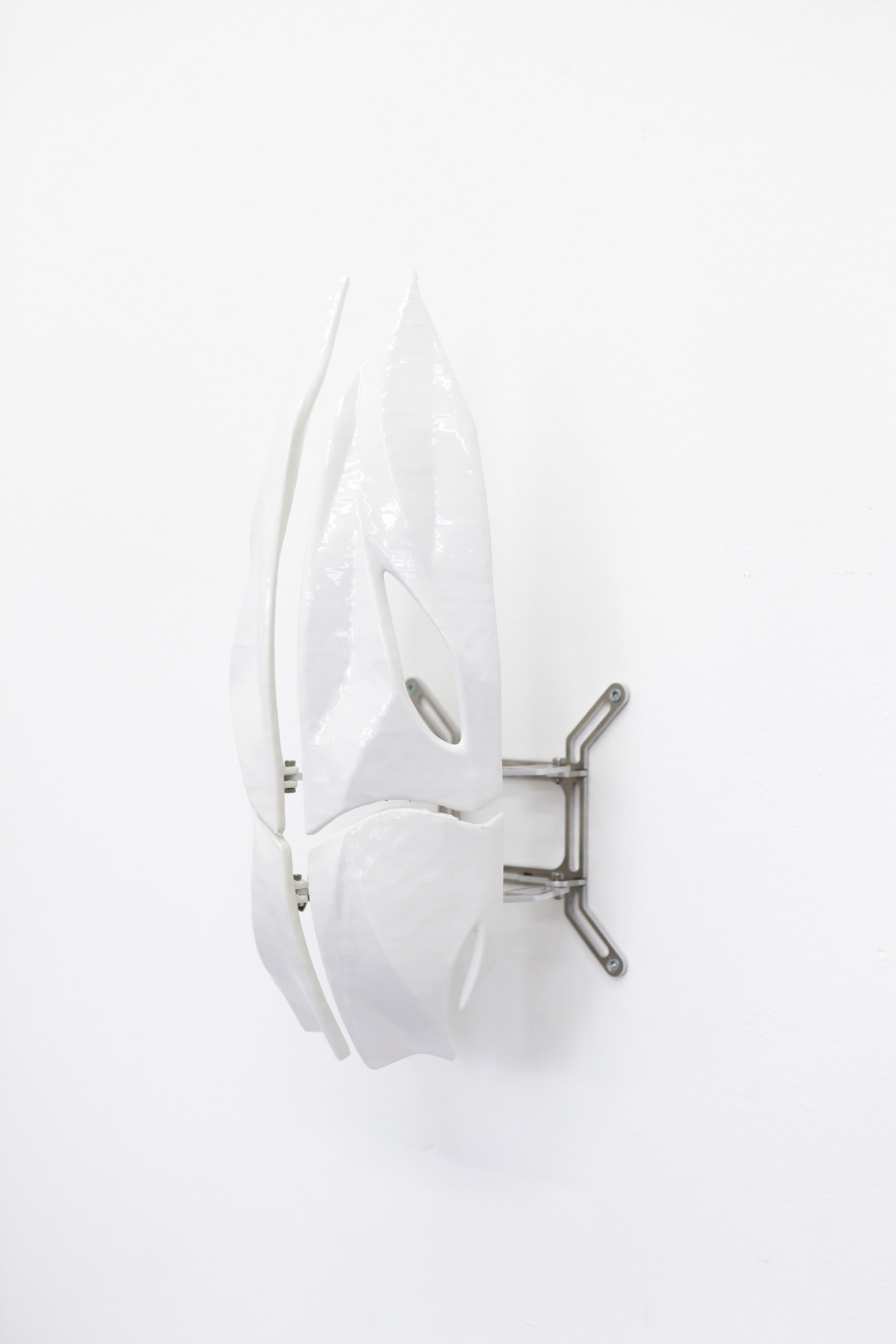 Chitinous Shield