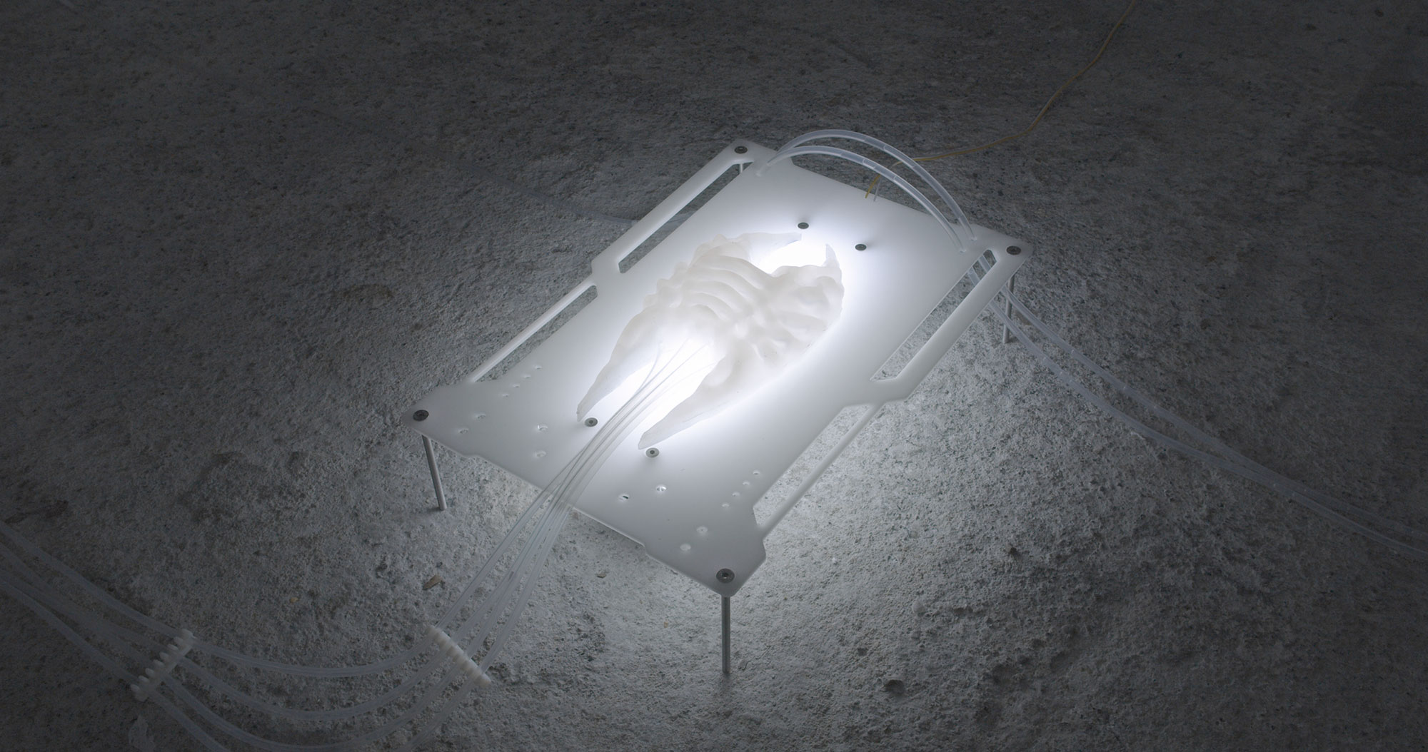Post SHIELD detail illuminated