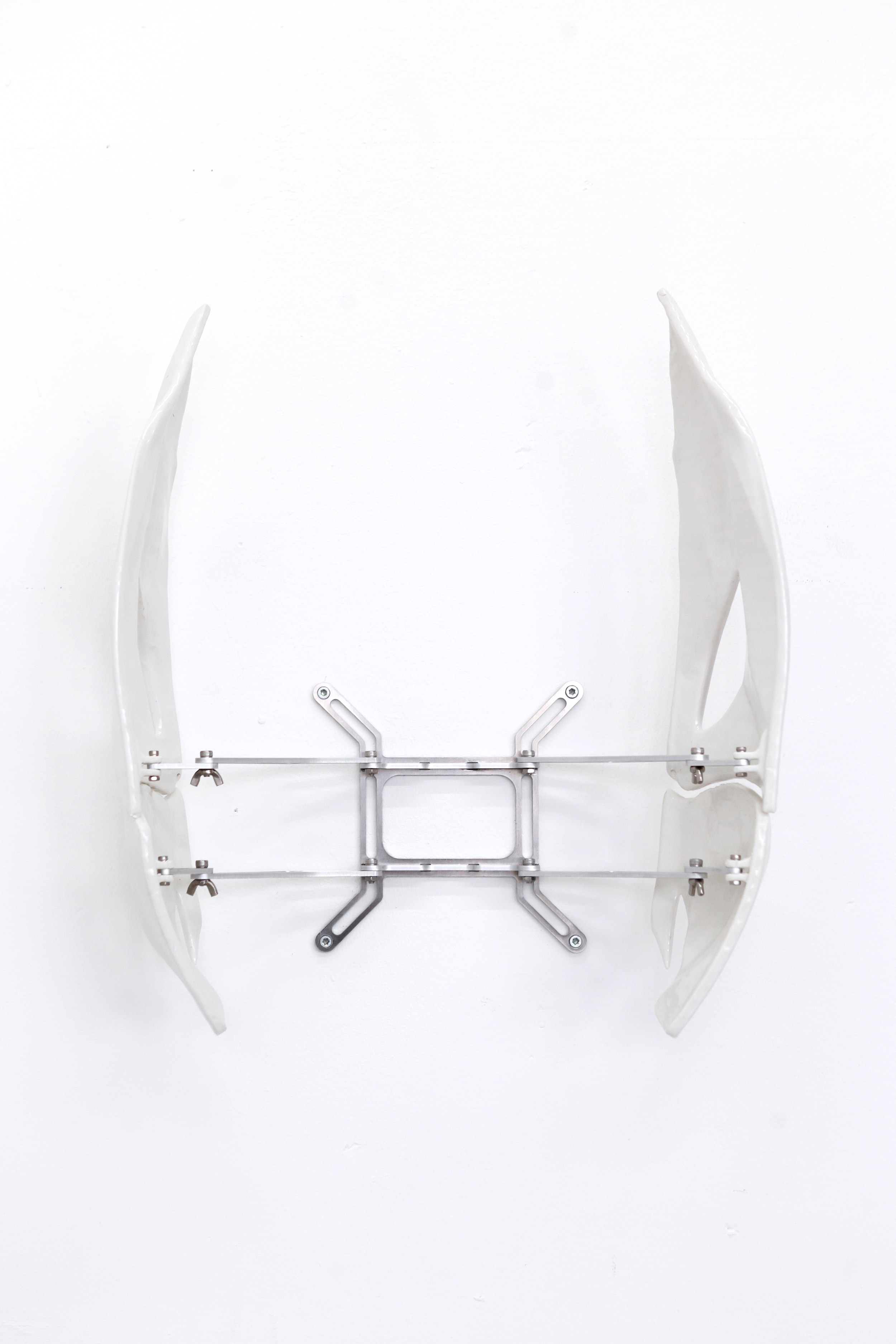 Chitinous Shield 